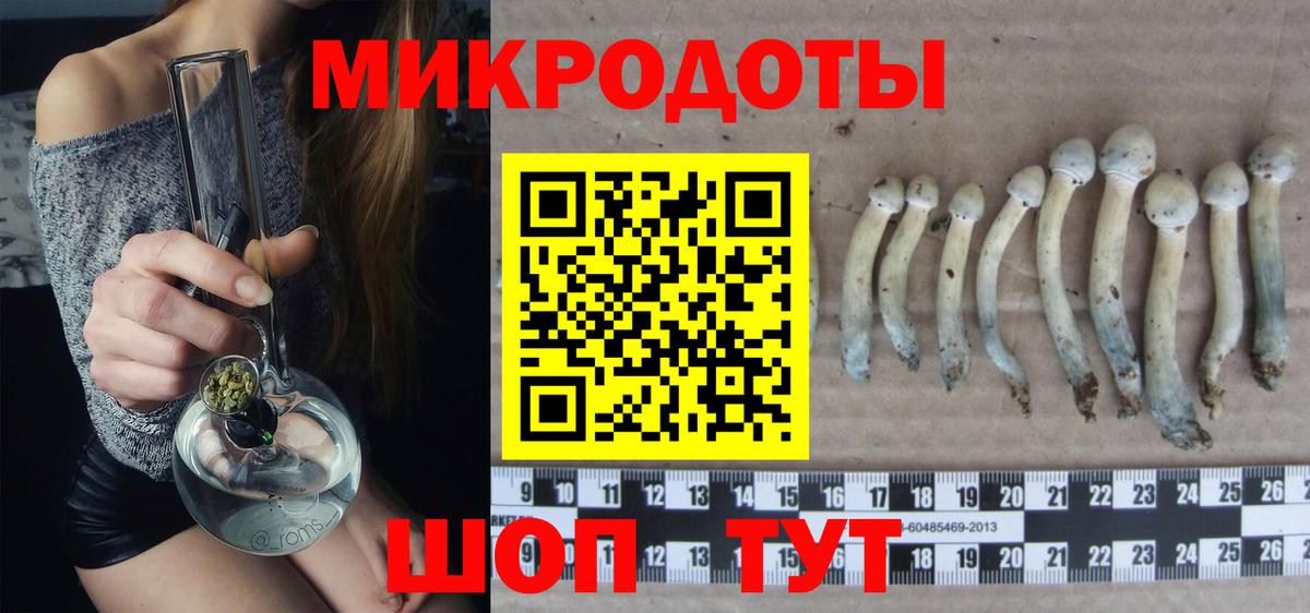 Заволжье  Галлюциногенные грибы MAGIC MUSHROOMS  Вход с VPN 